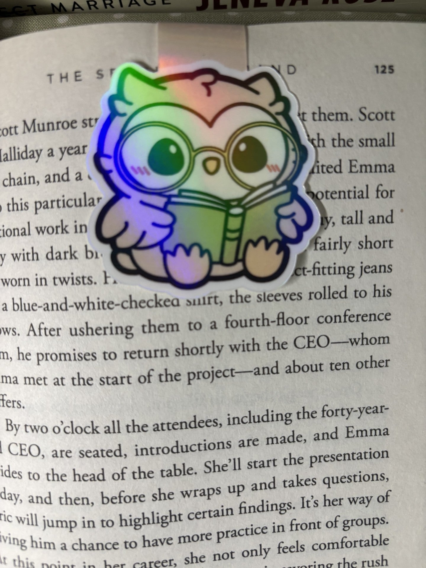 Night Owl Reader
